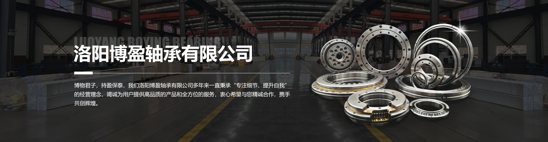 BXU系列交叉圓柱滾子軸承